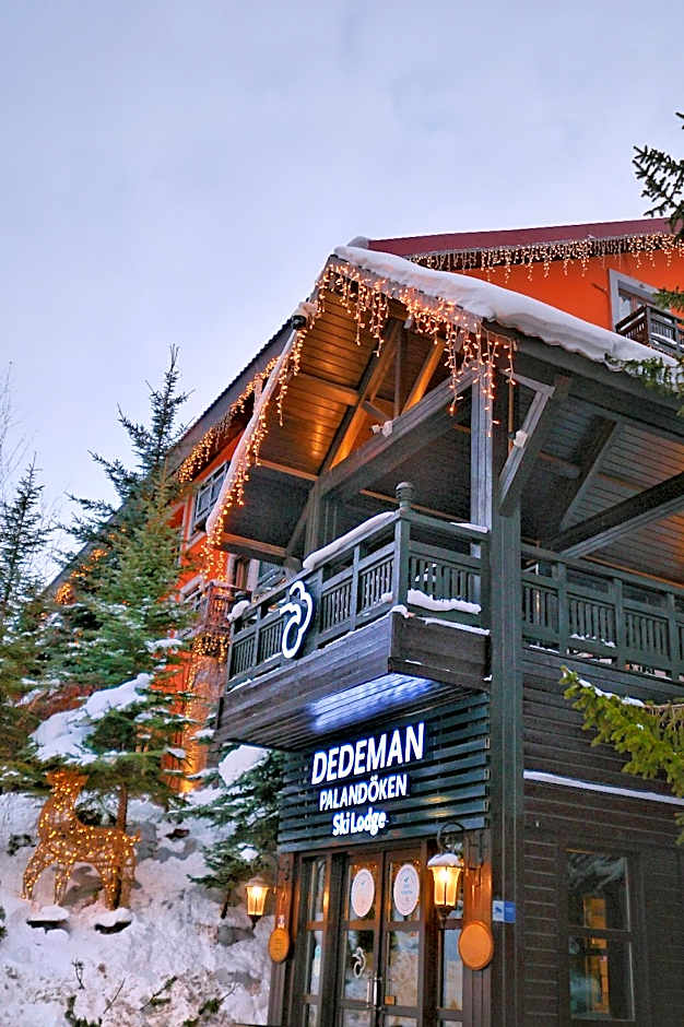 Dedeman Ski Lodge