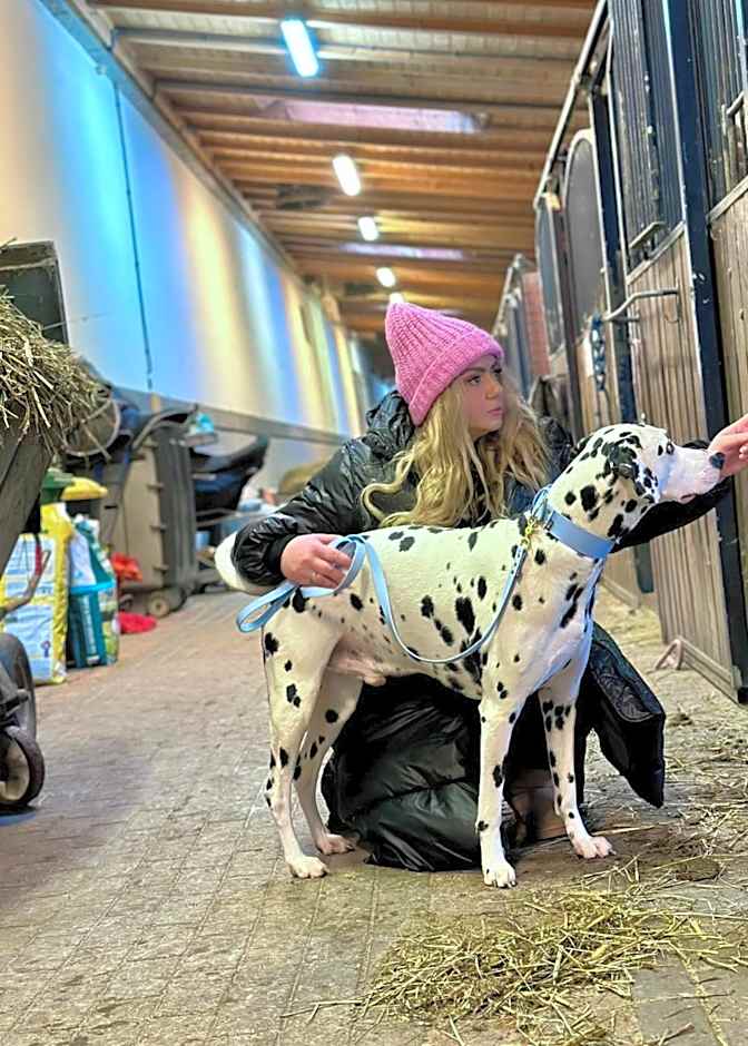 Hotel Szary Residence