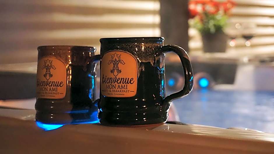 Bienvenue Mon Ami Bed and Breakfast