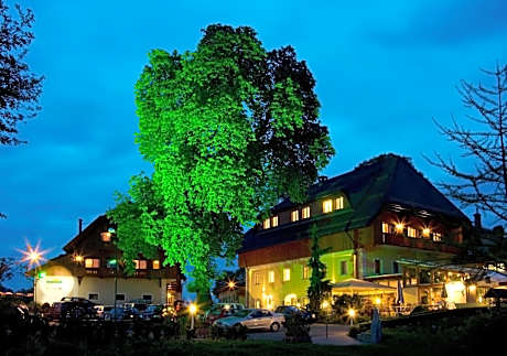 Hotel Zollner