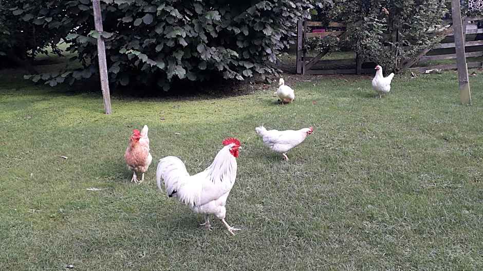 Western House B&B Kurow