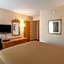 Econo Lodge Metro