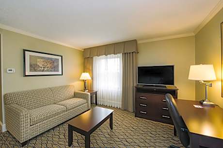 1 King Bed Suite Comm Access