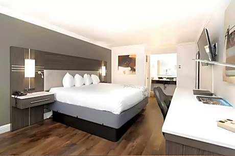 1 Queen Bed Nonsmoking