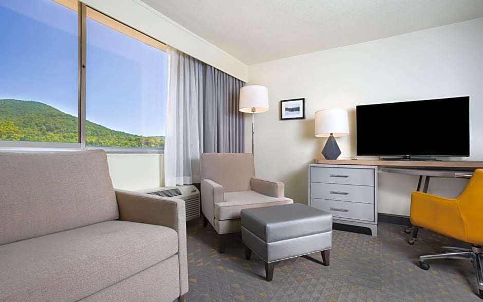 Holiday Inn Asheville East-Blue Ridge Pkwy By IHG