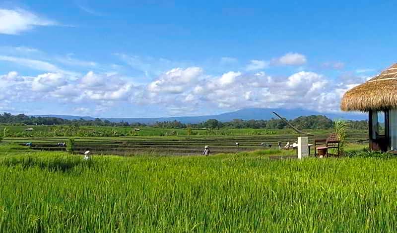 WakaGangga Boutique Resort