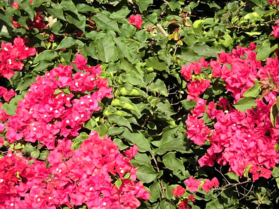 Agroturismo Na Set Centes - Adults Only