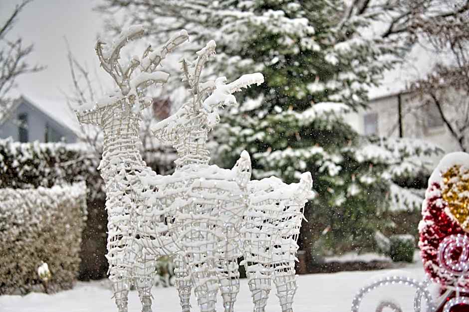 Hotel am Schlosspark Zum Kurfürst