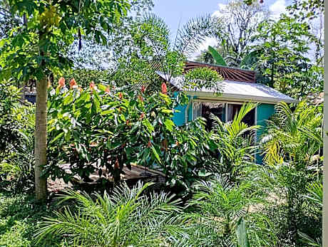 El Tucan Feliz | Jungle Tiny House by Playa Cocles