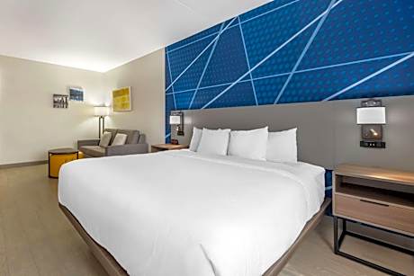 1 King Bed, Suite, No-smoking