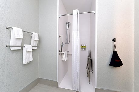 King Room with Roll In Shower - Non-Smoking