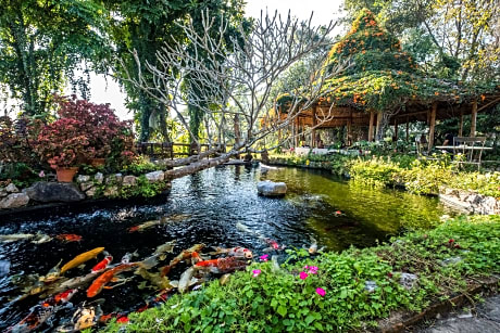 Phu Chaisai Mountain Resort