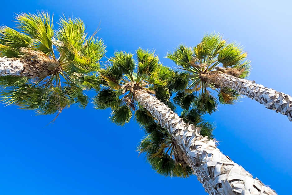 Clube Albufeira Garden Village