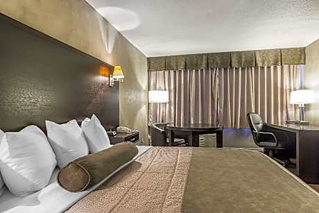 1 King Bed, Suite, Nonsmoking