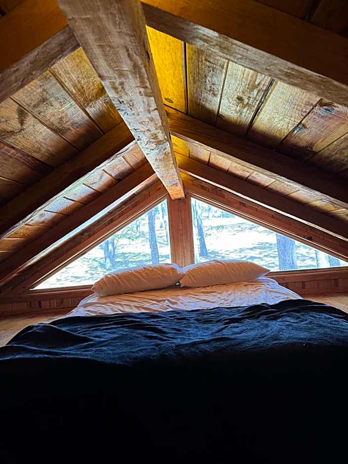 PINE TREE Mazamitla Hotel Boutique & Cabañas