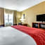 Comfort Inn & Suites Mccomb