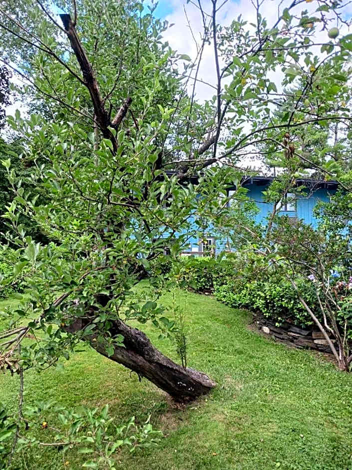 Hotel Vervana, Trademark Collection by Wyndham