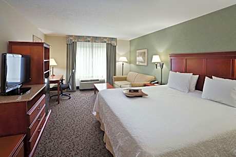 1 King Bed Nonsmoking