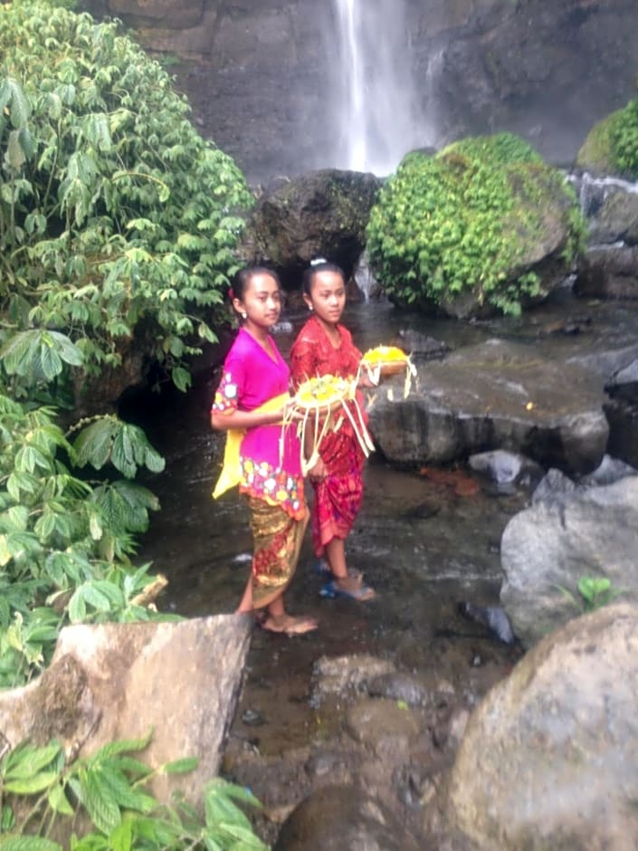 Sekumpul BnB