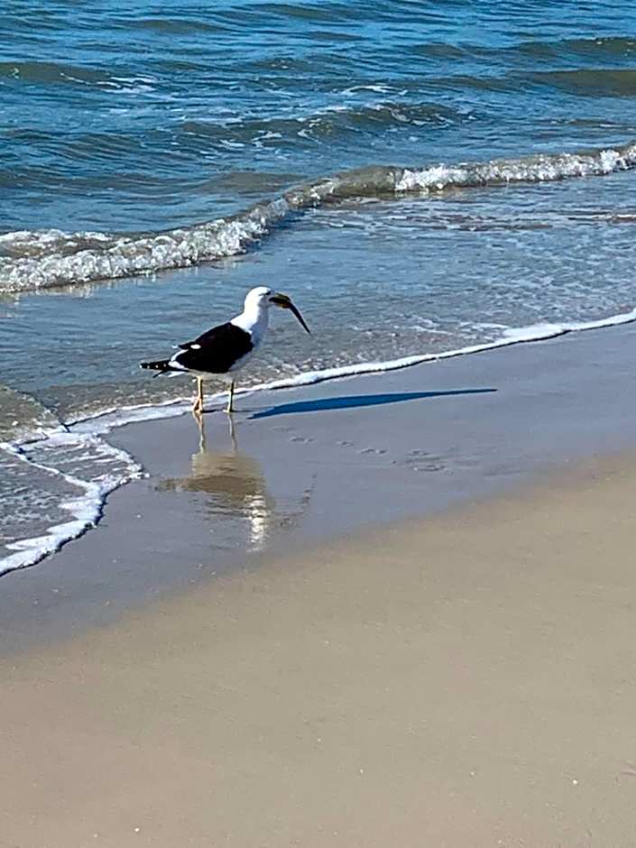 Canascenter Apart Hotel