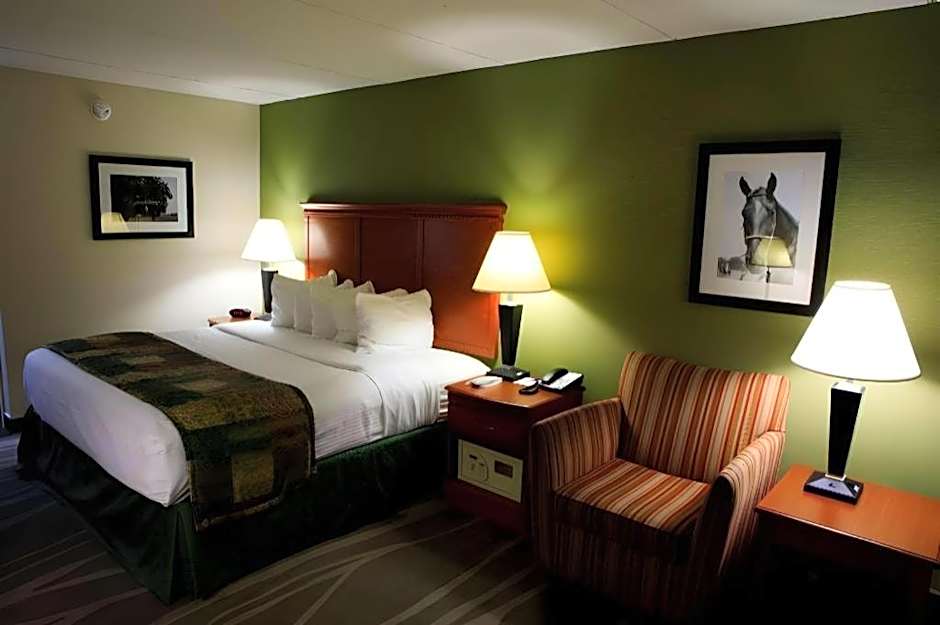 Best Western Celebration Inn & Suites