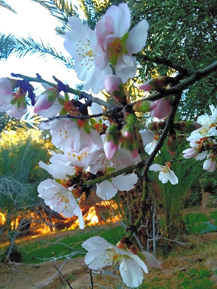 LE JARDIN DES GRENADIERS