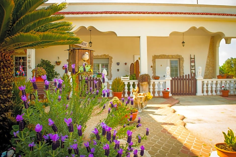 B&B Pietrafitta