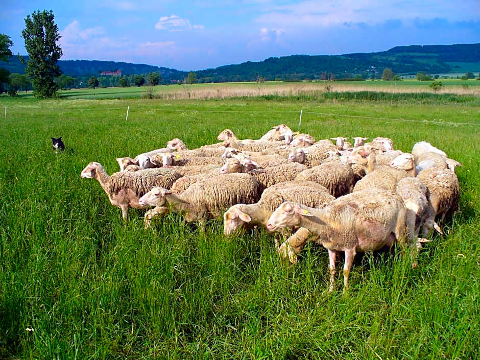 Biohotel Stiftsgut Wilhelmsglücksbrunn