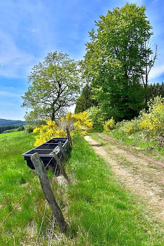 Übernachten im Café Restaurant Vedder