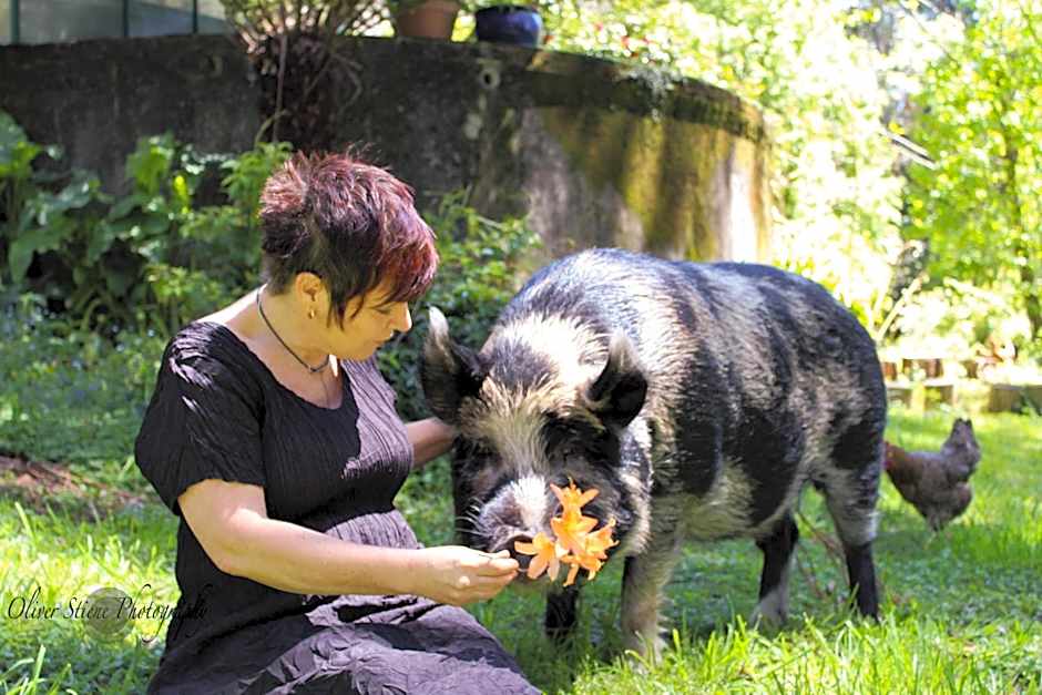 Tomah Retreat - Studio RELAX with fireplace