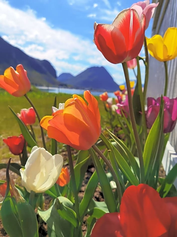 BanPim Beachside Lofoten