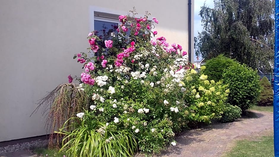 Domki Kapitańskie z prywatnym polem do gry w Mini Golf