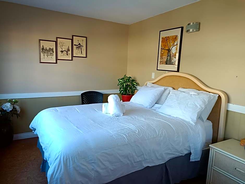 Painted Turtle Guesthouse