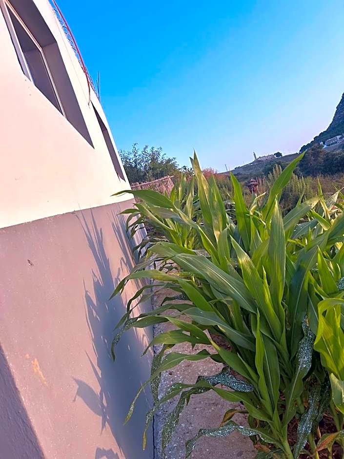 منزل قريب من الشاطئ