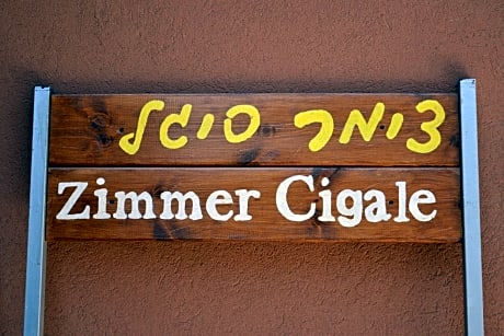 Zimmer cigale