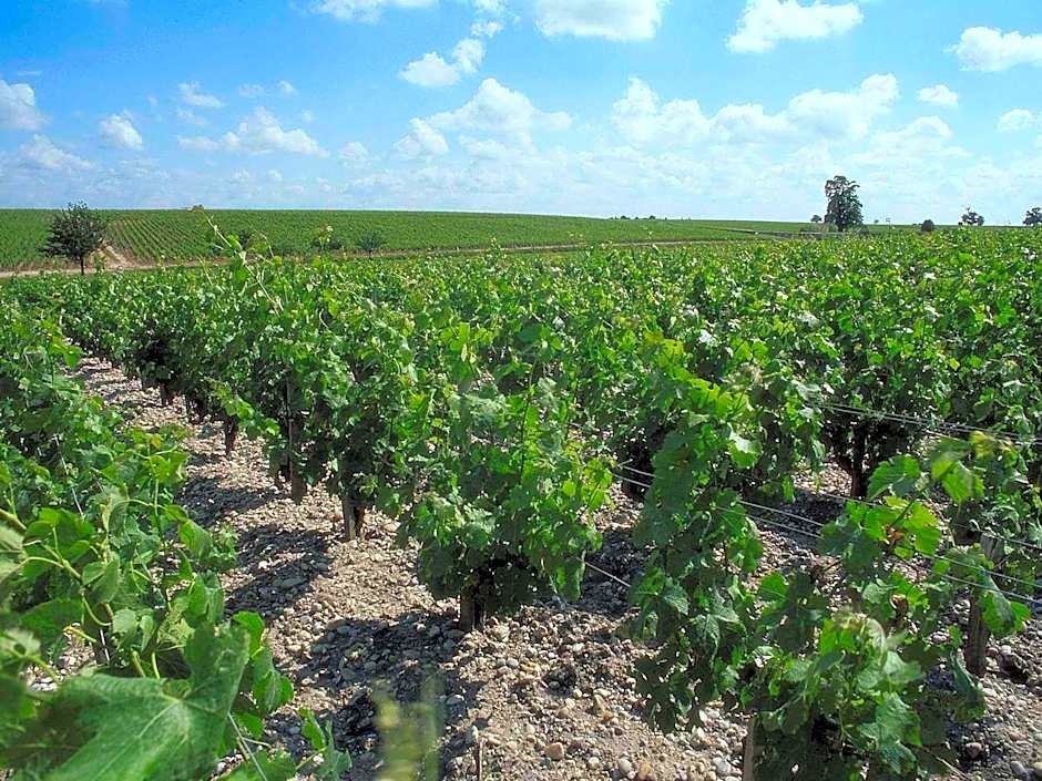 ibis Bordeaux Saint Emilion