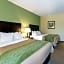 Comfort Inn Horn Lake - Southaven