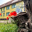 Hotel Wandersleben - Erfurt