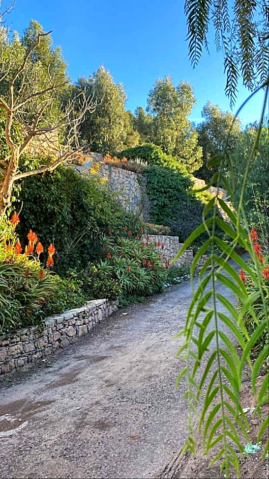 Auberge des Cascades Imouzzer - Paradise Valley