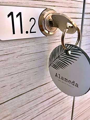 Bunk Bed in Mixed Dormitory Room