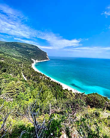 Le due palme Bed & Breakfast