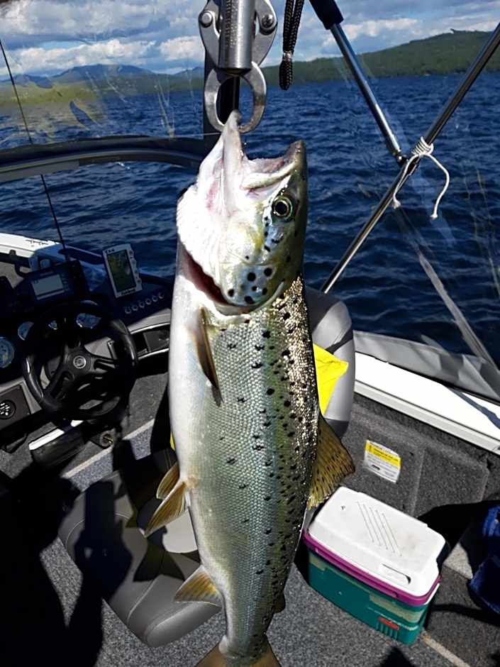 Rangeley Town & Lake