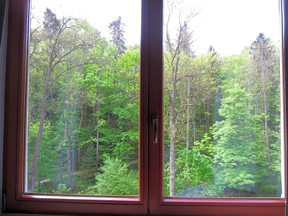 Willa M cisza w centrum miasta