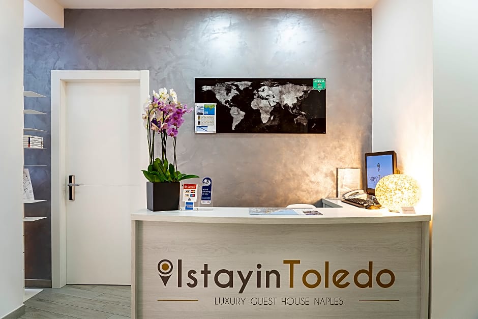 IstayinToledo Luxury Guest House