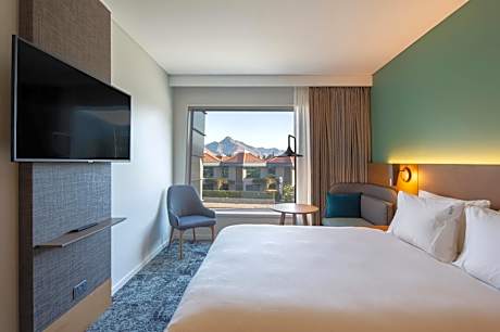 Standard Queen Room with Mountain View