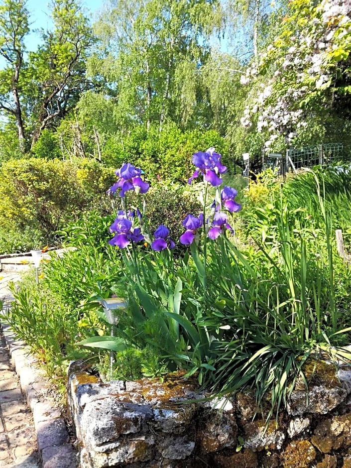 Les Jardins de Camelot