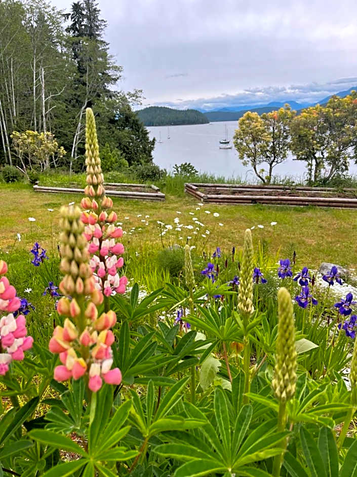 Shannaghs Sweet Escape