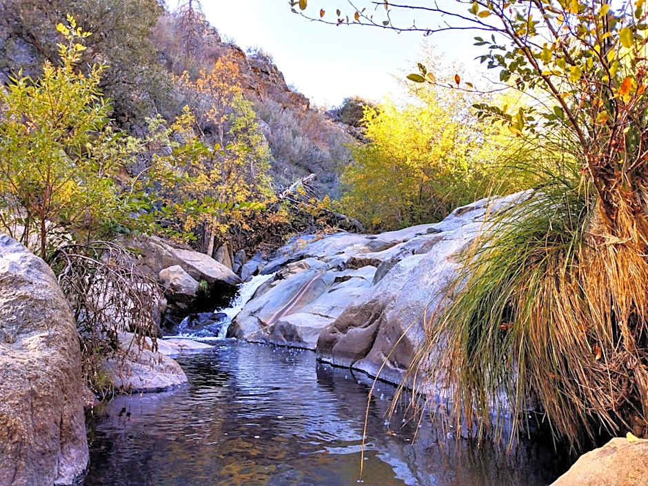 Quiet Mind Lodge, Spa & Retreat Sequoias