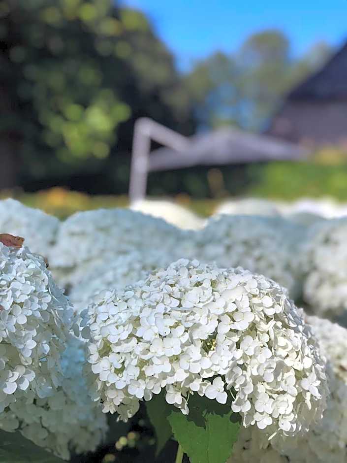 Bed & Breakfast Karakter