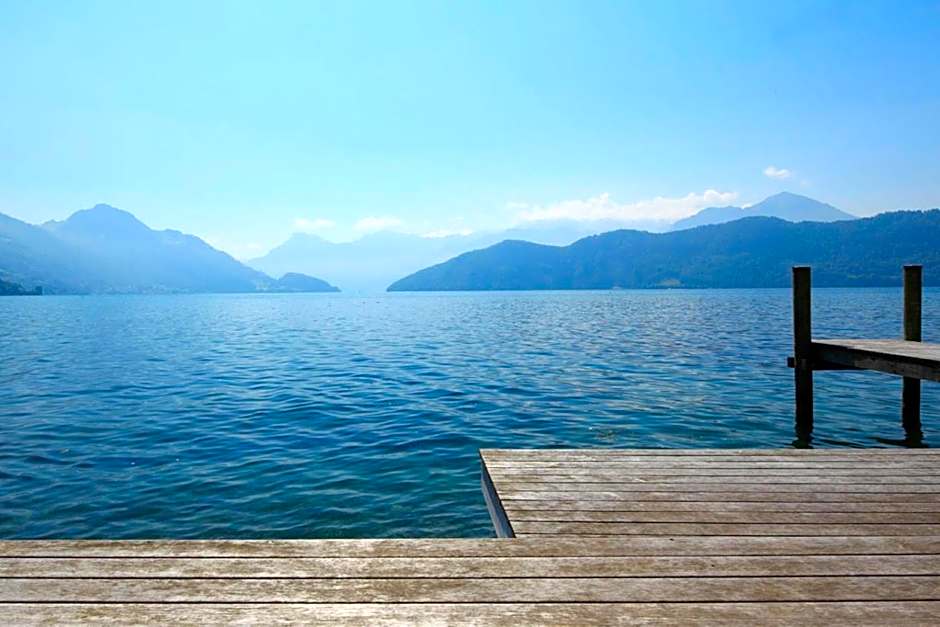 Seminar-Hotel Rigi am See